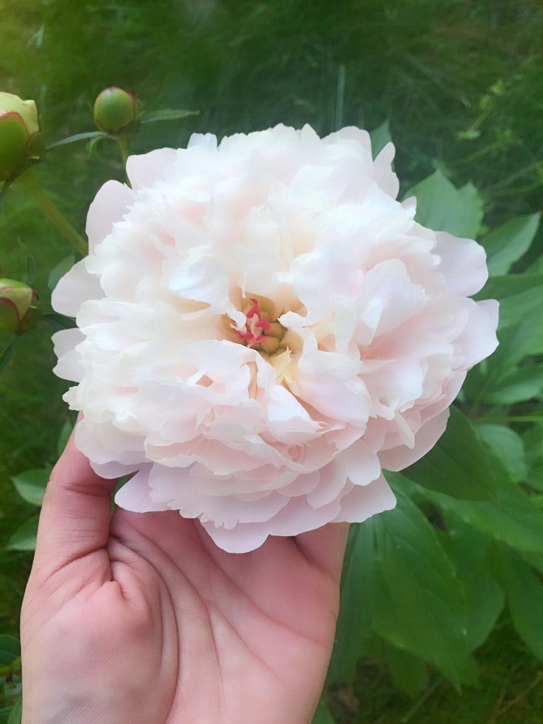 Cybersecurity Mindful Moments by Tara Lemieux